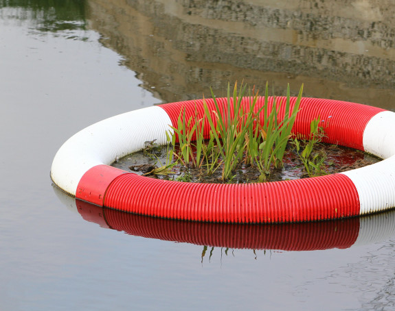 Das Bild zeigt einen Rettungsring in einem Überschwemmungsgebiet. 