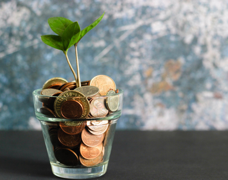 Foto: Pflanze wächst aus Glas mit Münzen 