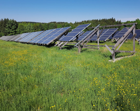 Foto: Sonnenkollektoren auf einer Wiese