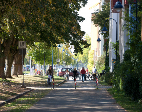 Foto: Blick auf Fußgängerweg in Freiburg Vauban 