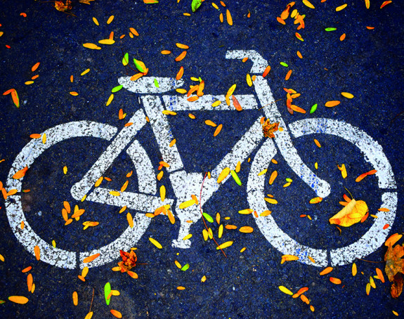 Fahrradmarkierung auf Straße mit Blättern