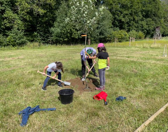 Drei junge Menschen pflanzen einen Baum auf grüner Wiese