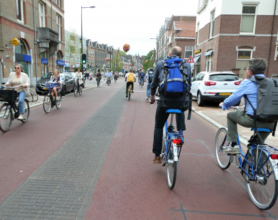 Das Foto zeigt einen befahrenen Radweg in den Niederlanden. 