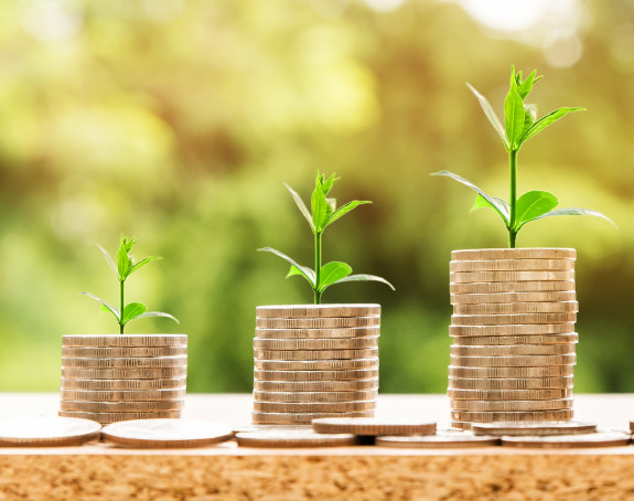 Nachhaltiges Finanzieren - Pflanzen und Münzen