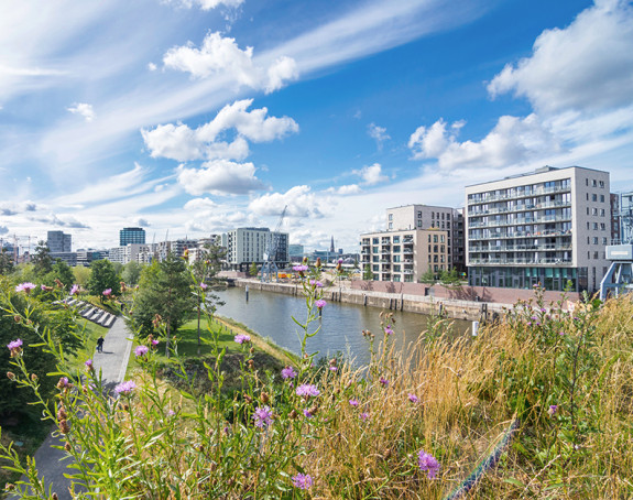 Baakenpark in Hamburg