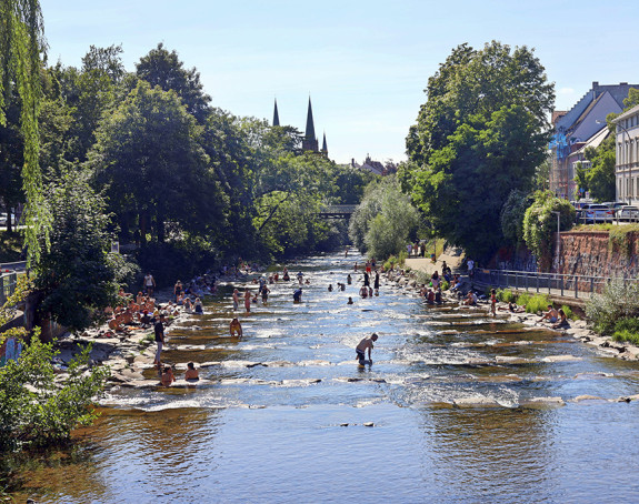  Abkühlung in der Dreisam in Freiburg