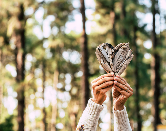 Wettbewerb Klimaaktive Kommune 2025 