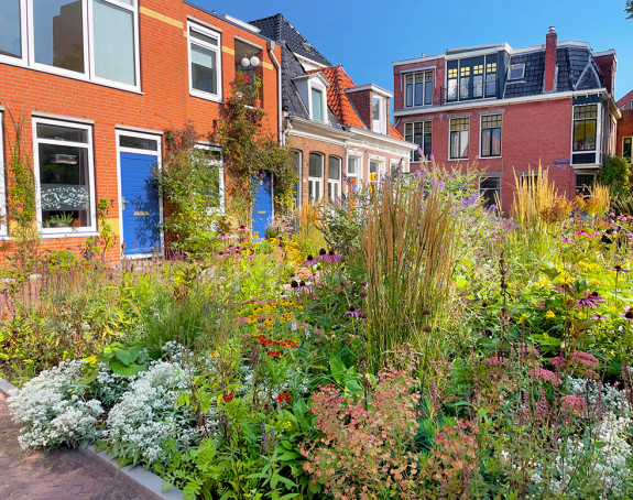 Klimaschutzmaßnahmen