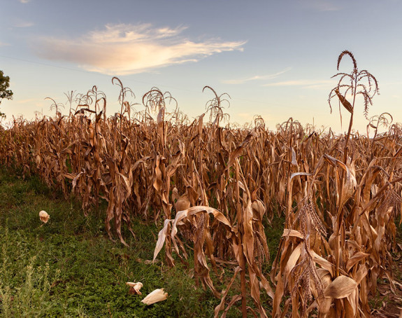 Foto: DR Moura, stock.adobe.com