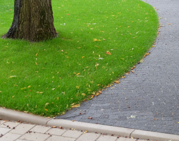 Foto: Rasenfläche mit Baum und gepflastertem Weg