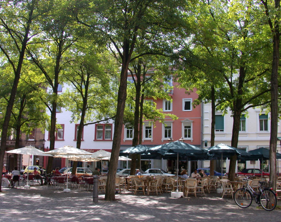 Foto: ein von Bäumen gesäumter Platz mit Café in Heidelberg