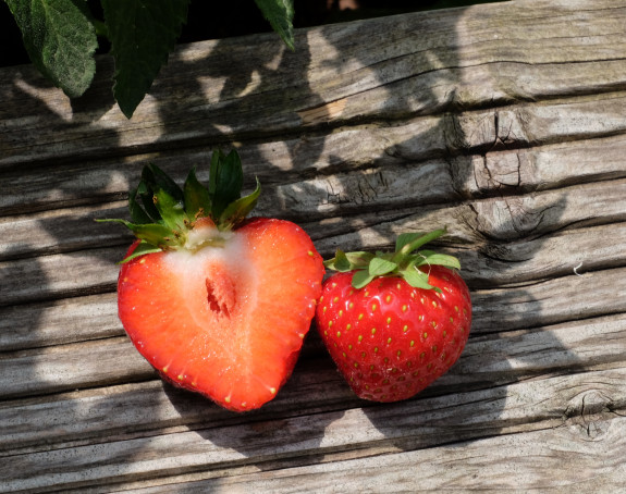 Foto: eine ganze und eine aufgeschnittene Erdbeere auf einer Gartenbank