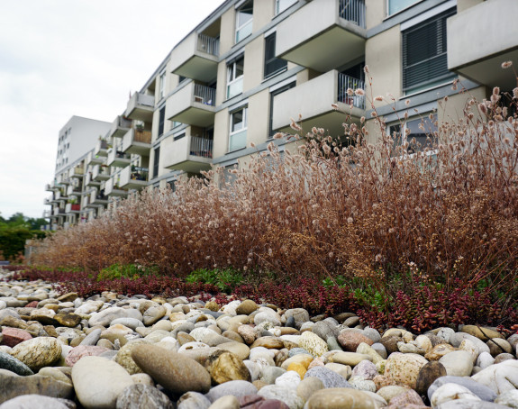 Foto: Neubau, im Vordergrund eine Natursteineinfassung und ein Grünstreifen