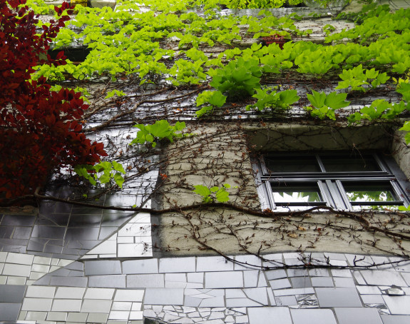 Foto einer mit wildem wein begrünten Hausfassade