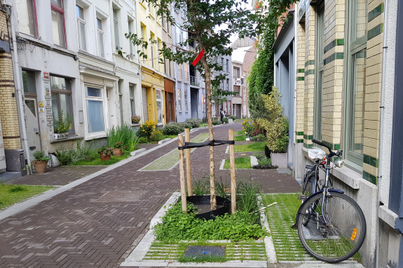 Straße mit Grünflächen um Aufnahme von Regen zu ermöglichen